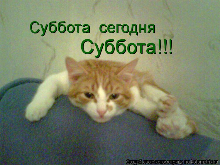 Хорошего субботнего дня