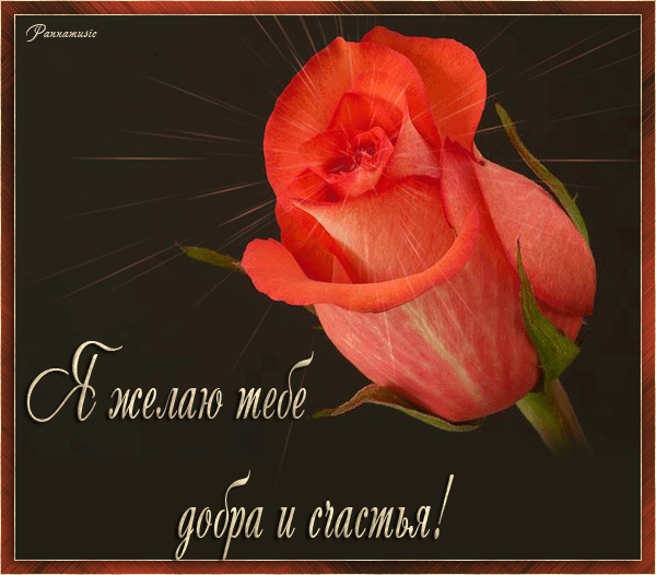 счастья. открытки с пожеланием счастья