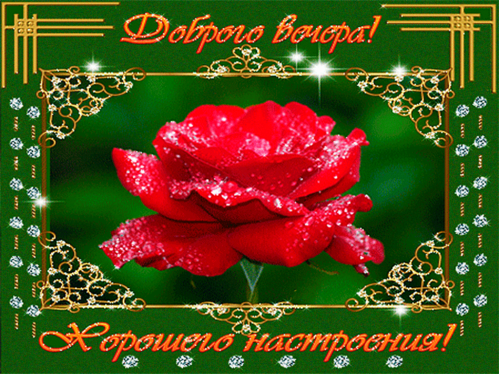 добрый вечер. приятного вечера. доброго вам вечера. хорошего вечера. приятног...