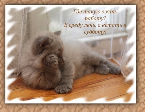 С веселой средой