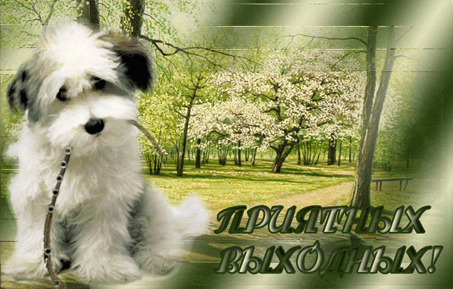 Приятных выходных