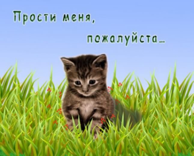 прости. прости меня. открытки прости. прости пожалуйста. прости меня пожалуйс...
