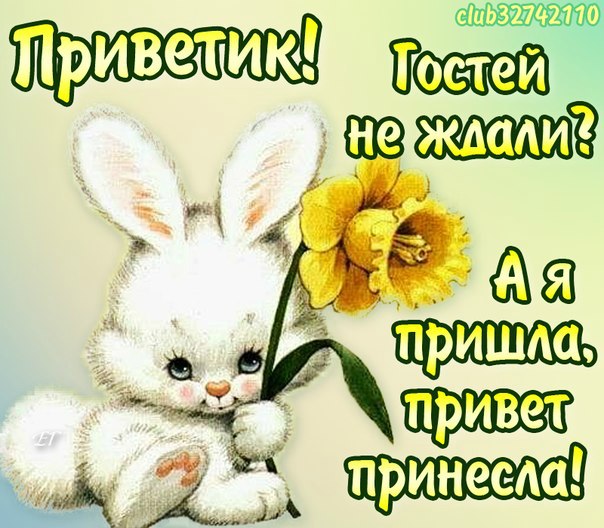 открытки привет, как дела. как настроение. пожелание хорошего дня