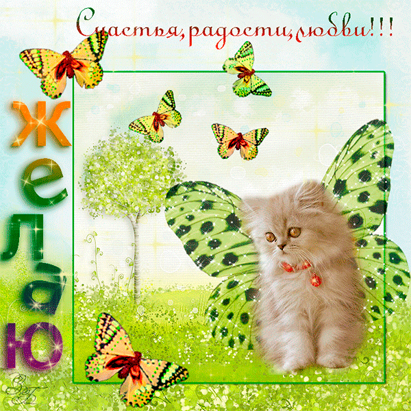 счастья. открытки с пожеланием счастья