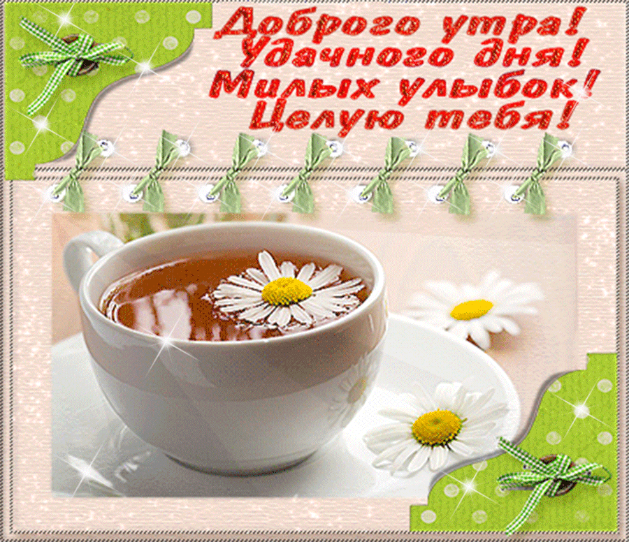 доброе утро. открытки с добрым утром. с добрым утром. желаю доброго утра