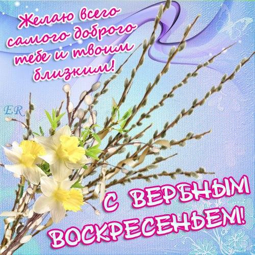 Без названия