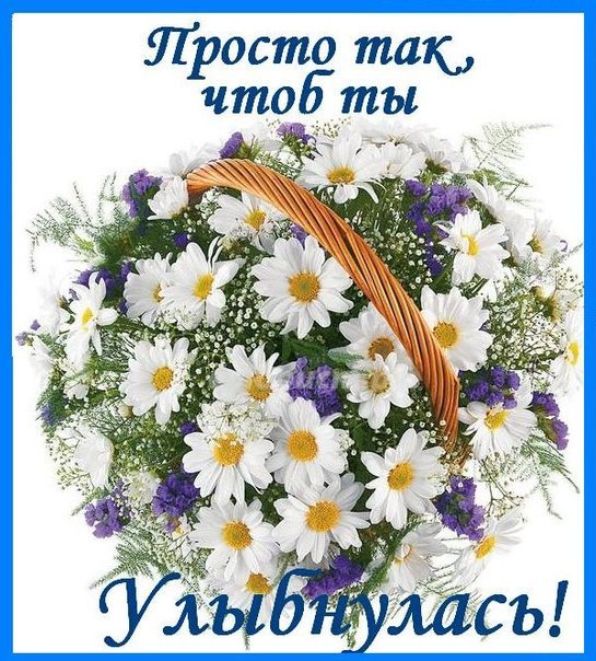 улыбнись. улыбайся. smile. улыбка. улыбайся и мир улыбнется тебе