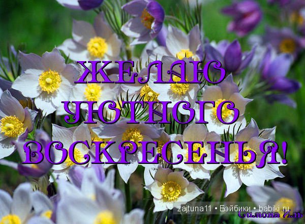 Счастливого воскресенья