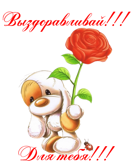 выздоравливай. желаю скорейшего выздоровления. не болей