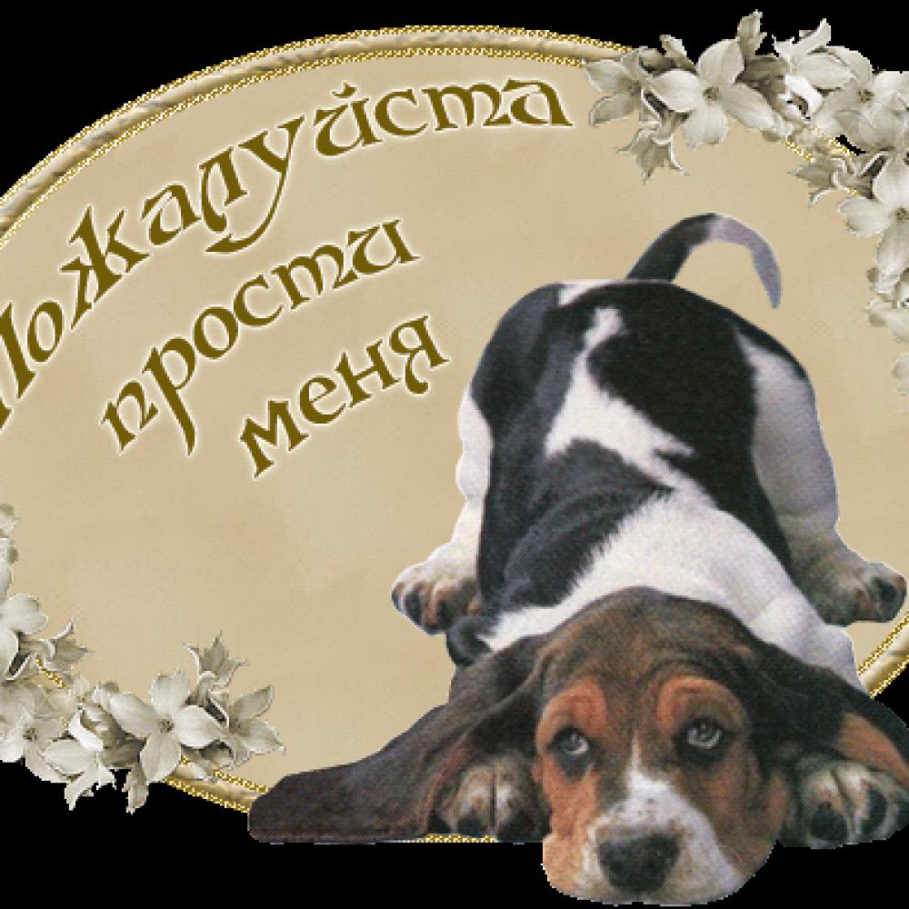 Анимационные картинки извини