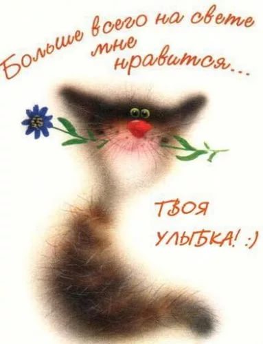 улыбнись. улыбайся. smile. улыбка. улыбайся и мир улыбнется тебе