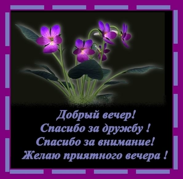 добрый вечер. приятного вечера. доброго вам вечера. хорошего вечера. приятног...