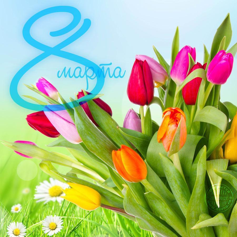 открытки к 8 марта. поздравления с 8 марта. пожелания на международный женски...