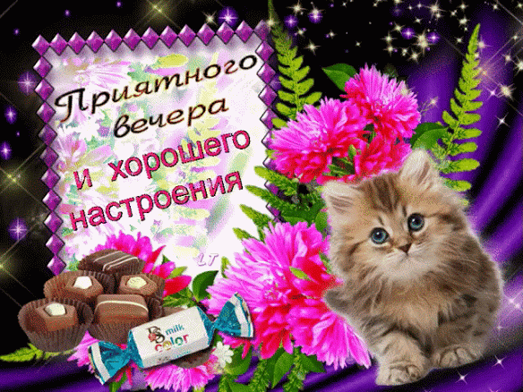 добрый вечер. приятного вечера. доброго вам вечера. хорошего вечера. приятного летнего вечера. отдыхайте с удовольствием .хорошего вечера, приятного общения