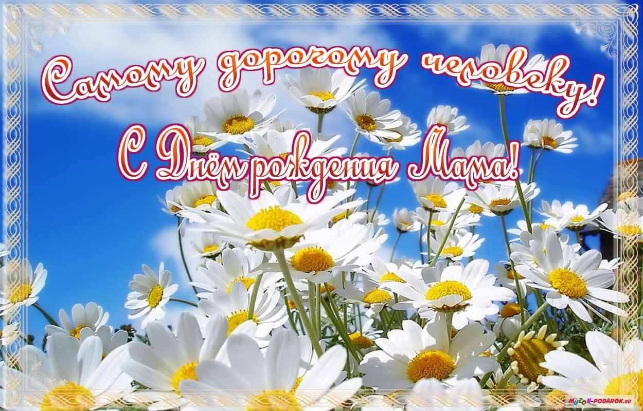 папа, с днем рождения. любимому папе в день рождения. открытки на день рожден...