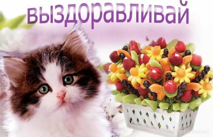 выздоравливай. желаю скорейшего выздоровления. не болей