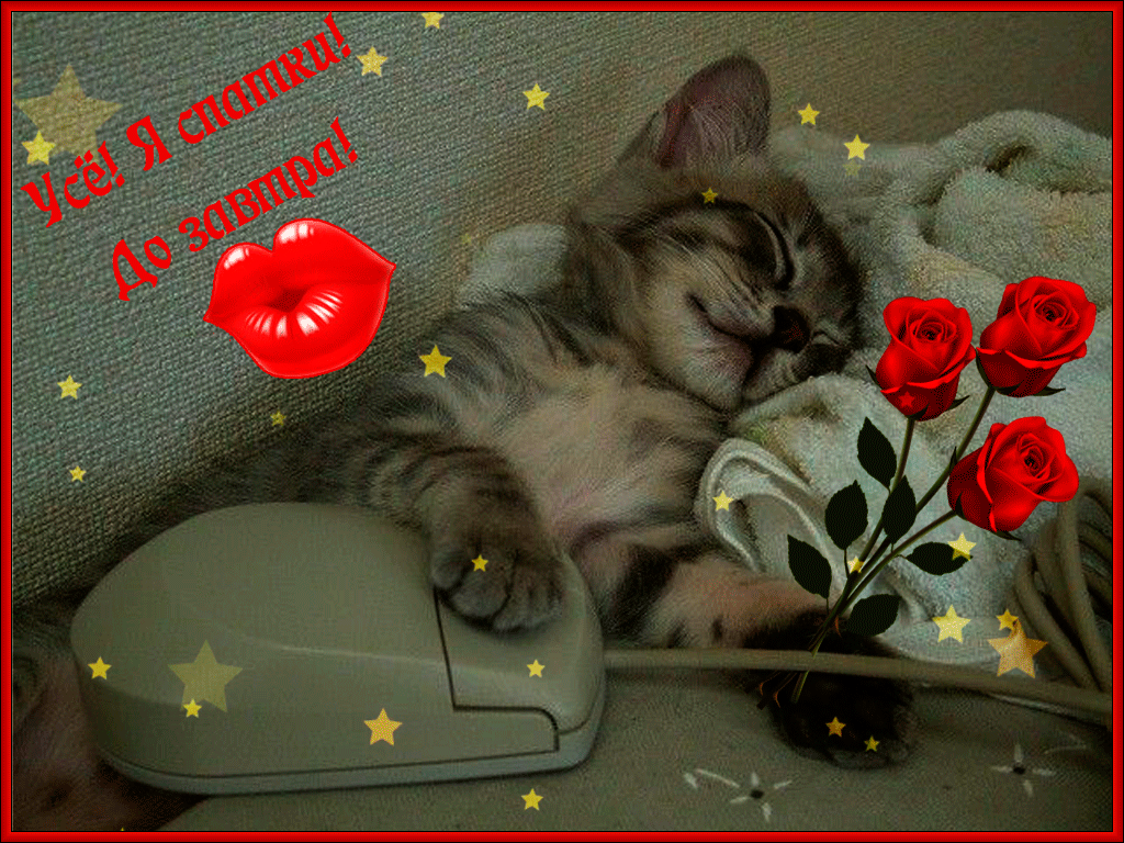 спокойной ночи. открытки с пожеланием спокойной ночи. приятных снов. сладких ...