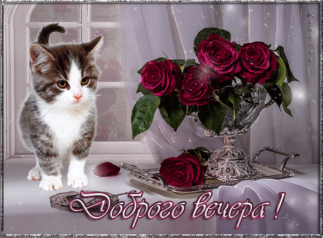 добрый вечер. приятного вечера. доброго вам вечера. хорошего вечера. приятног...