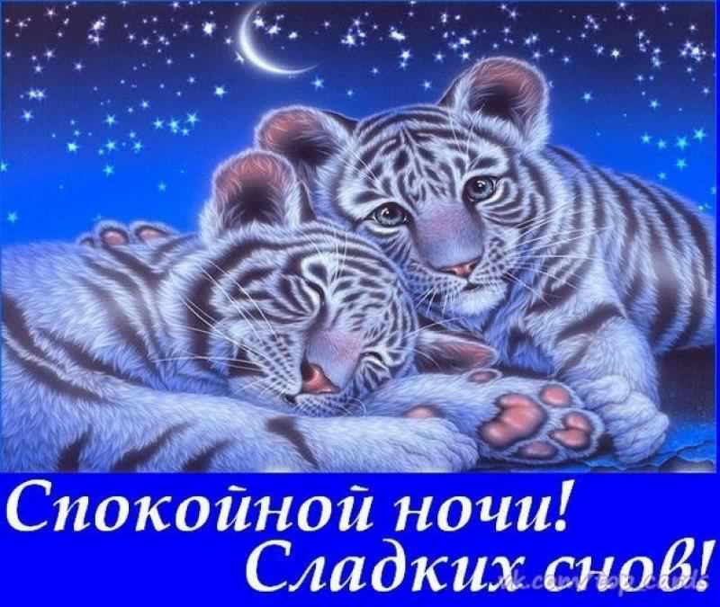 спокойной ночи. открытки с пожеланием спокойной ночи. приятных снов. сладких снов. приятных сновидений. доброй ночи. нежных снов. волшебных снов. спите сладко 