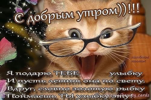 доброе утро. открытки с добрым утром. с добрым утром. желаю доброго утра