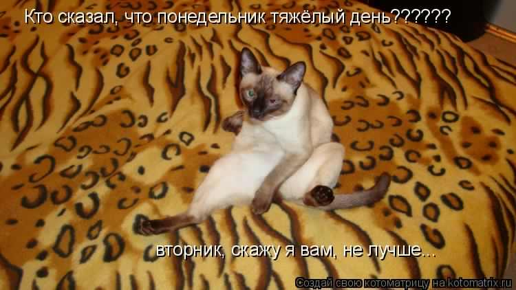 вторник. с добрым вторником.