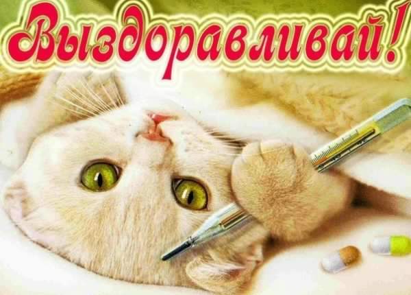 выздоравливай. желаю скорейшего выздоровления. не болей