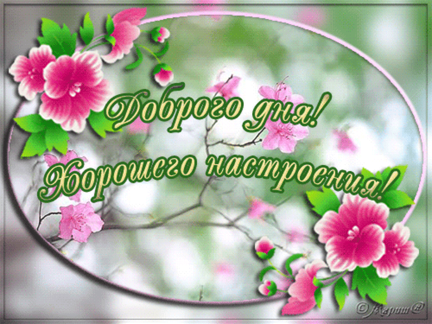 добрый день. открытки добрый день.доброго дня. хорошего дня. удачного дня