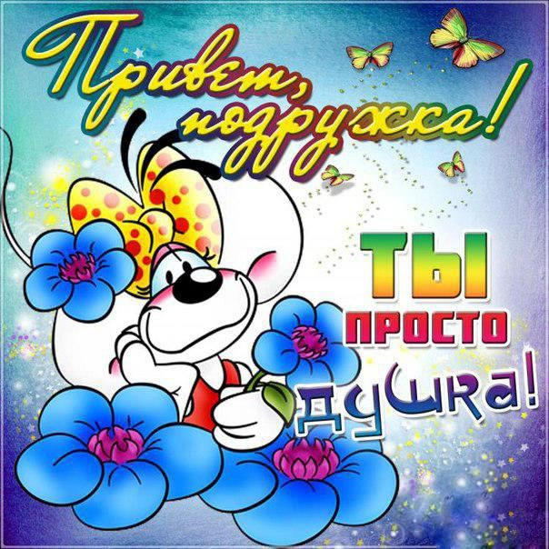 открытки привет, как дела. как настроение. пожелание хорошего дня