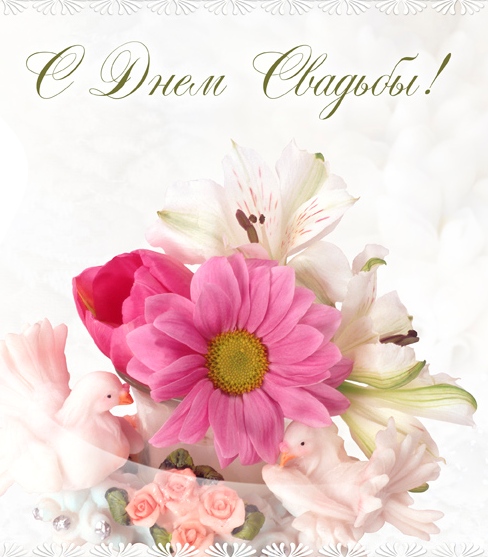 поздравляю с бракосочетанием. счастливой семейной жизни==description=открытки...