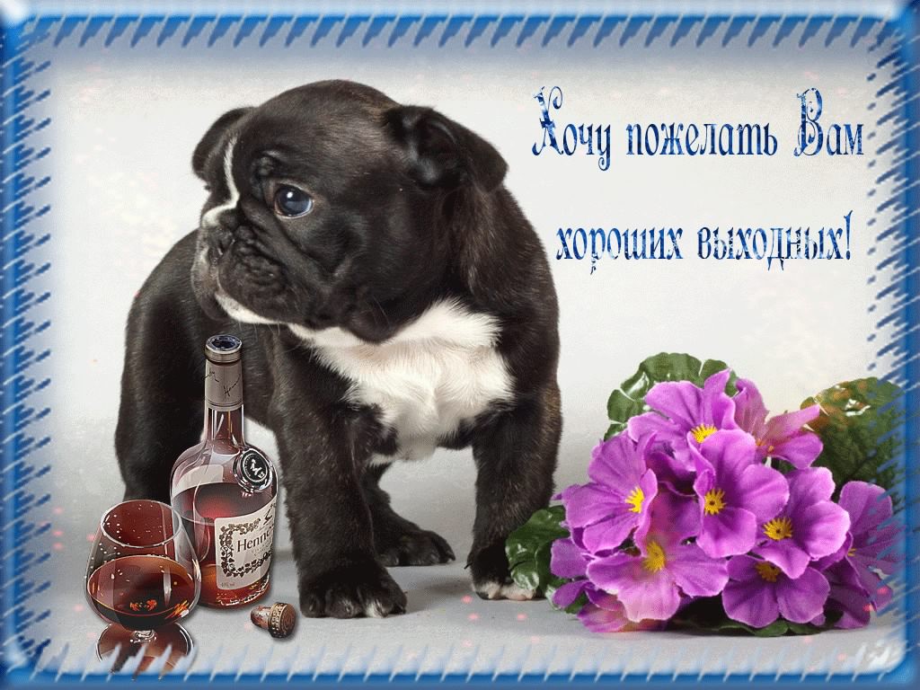 Приятных выходных