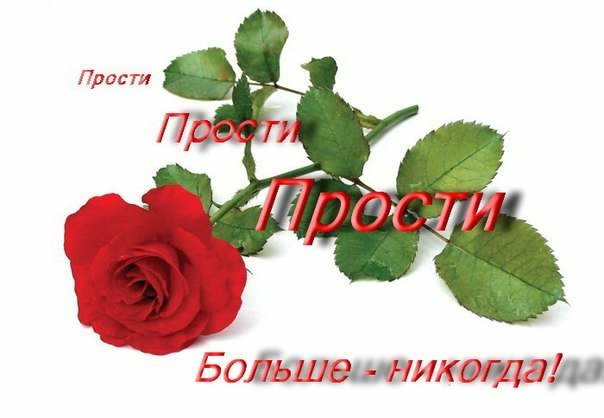 прости. прости меня. открытки прости. прости пожалуйста. прости меня пожалуйс...
