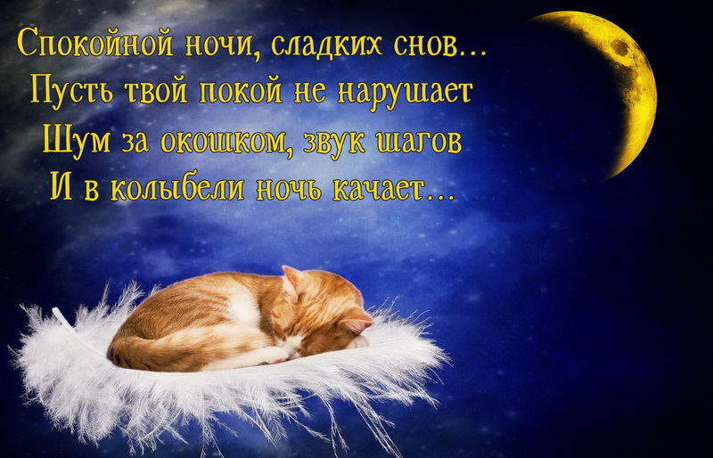 спокойной ночи. открытки с пожеланием спокойной ночи. приятных снов. сладких снов. приятных сновидений. доброй ночи. нежных снов. волшебных снов. спите сладко 