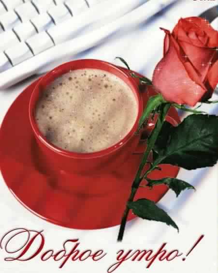 доброе утро. открытки с добрым утром. с добрым утром. желаю доброго утра