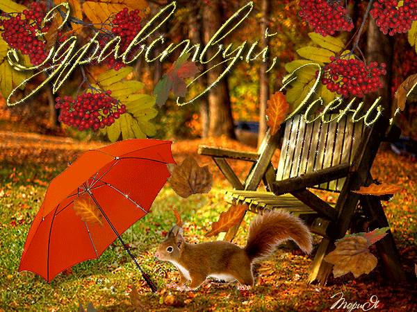 С началом осени