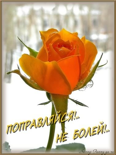 выздоравливай. желаю скорейшего выздоровления. не болей