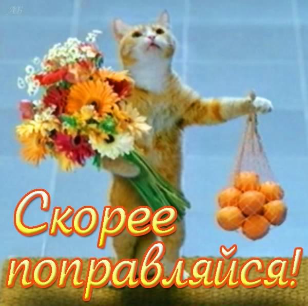 выздоравливай. желаю скорейшего выздоровления. не болей