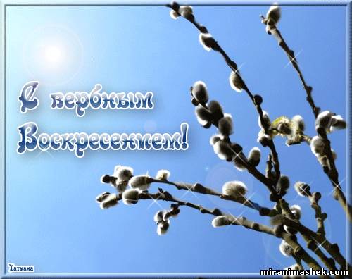 открытки на вербное воскресенье. пожелания к празднику вербное воскресенье