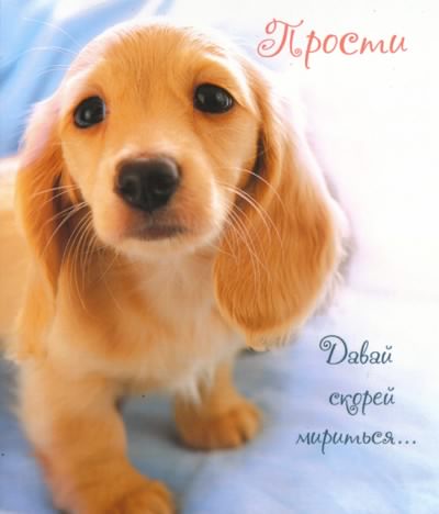 Давай мириться