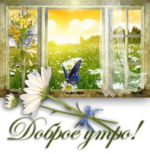 доброе утро. открытки с добрым утром. с добрым утром. желаю доброго утра