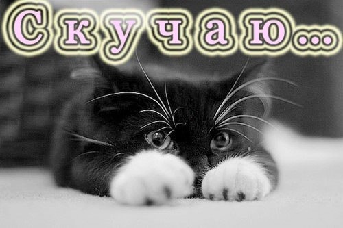 открытки я скучаю. мне скучно без тебя. я соскучилась по тебе . i miss you.