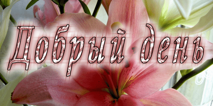 добрый день. открытки добрый день.доброго дня. хорошего дня. удачного дня