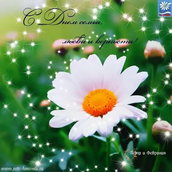 поздравления с днем семьи. моя семья. с днем семьи, любви и верности. поздрав...