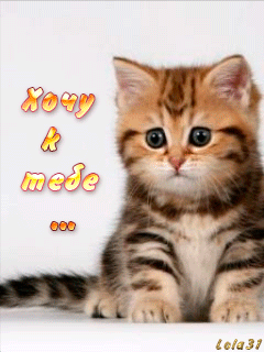 открытки я скучаю. мне скучно без тебя. я соскучилась по тебе . i miss you.