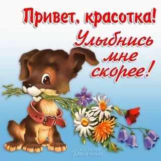 открытки привет, как дела. как настроение. пожелание хорошего дня