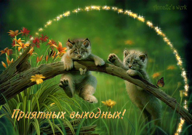 Приятных выходных