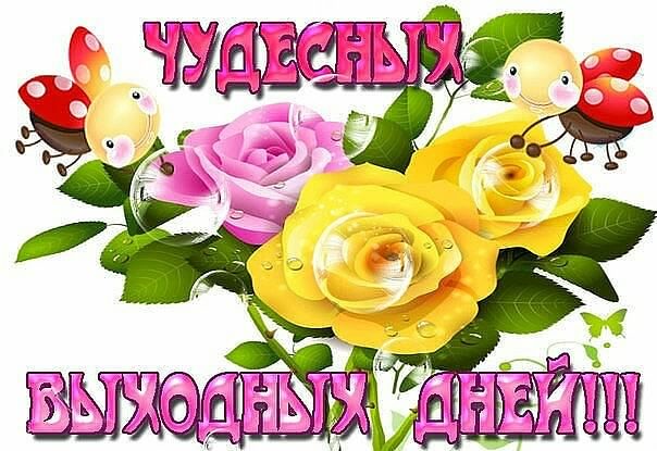 Приятных выходных