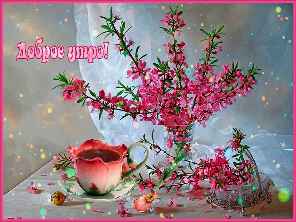 доброе утро. открытки с добрым утром. с добрым утром. желаю доброго утра