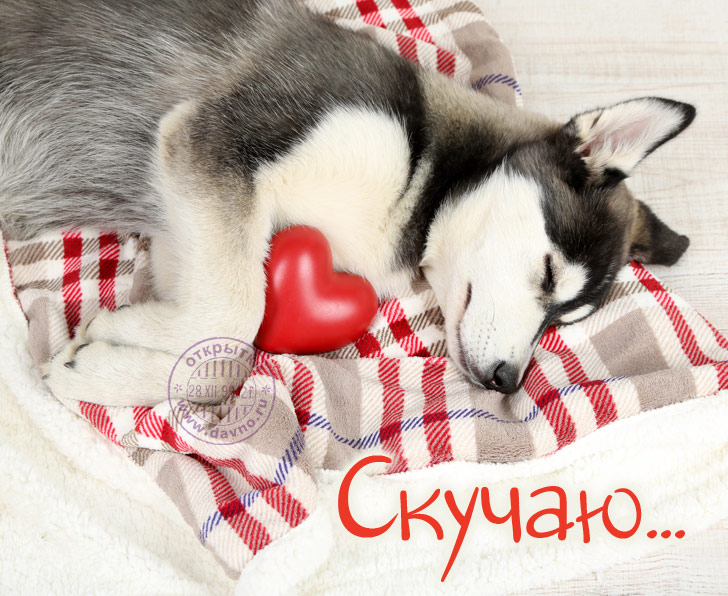 открытки я скучаю. мне скучно без тебя. я соскучилась по тебе . i miss you.