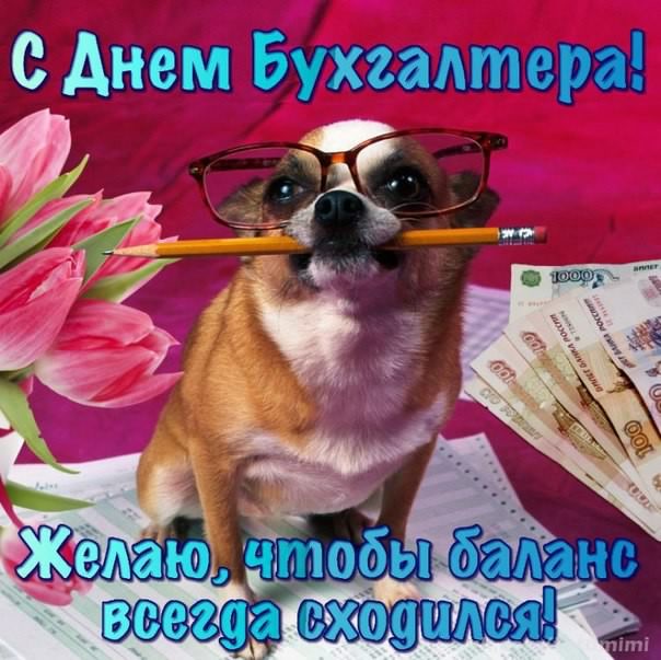 день бухгалтера. с днем бухгалтера. поздравляю с праздником, бухгалтера, позд...