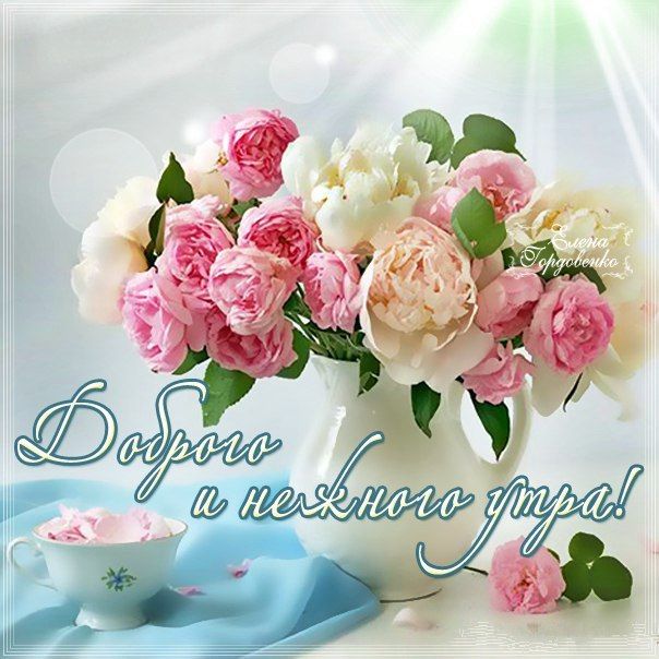 доброе утро. открытки с добрым утром. с добрым утром. желаю доброго утра